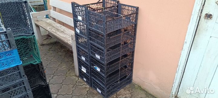 Пластиковые ящики. Много