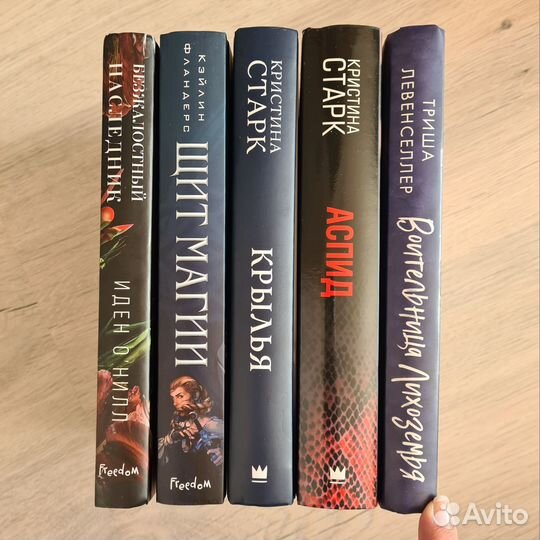 Книги фэнтези, Безжалостный наследник