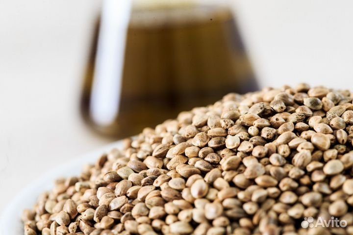 Масло конопляное холодный отжим