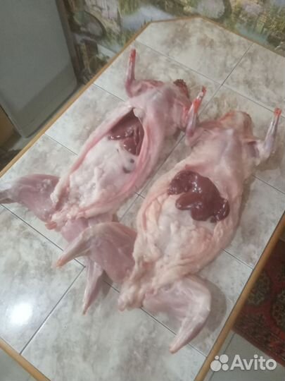 Продаётся мясо кролика по