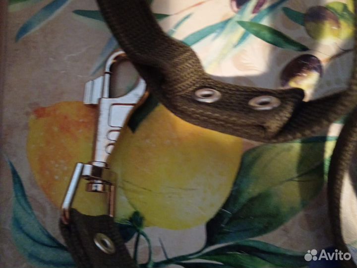 Поводок, шлейка для собак