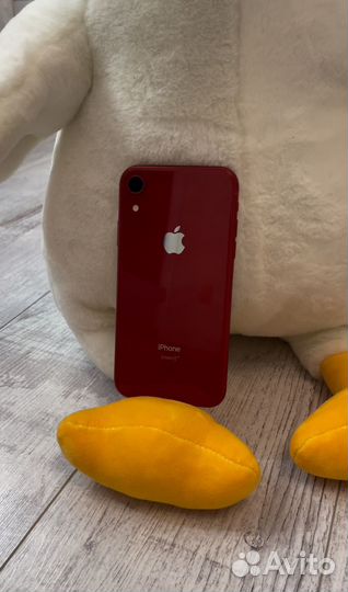 iPhone Xr, 128 ГБ