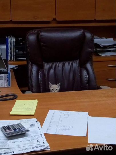 Инвестиции