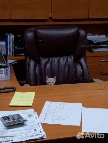 Инвестиции