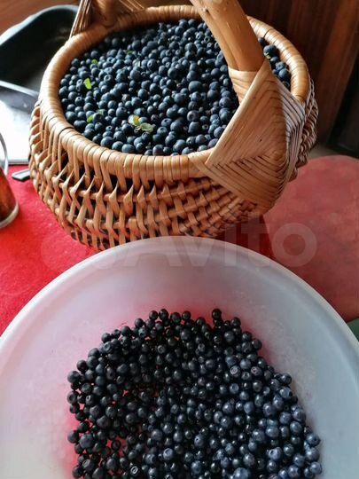 Дом 54 м² на участке 12 сот.