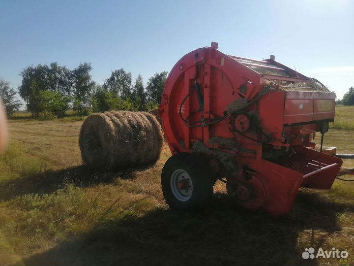 Продам сено в рулонах