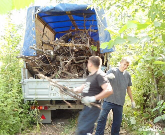 Вывоз мусора, демонтаж, уборка территории, спил