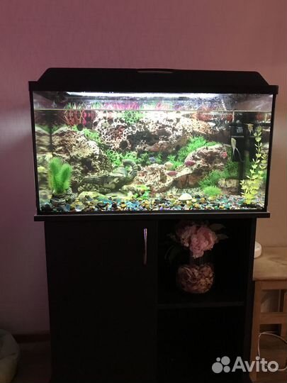 Аквариум с тумбой и рыбками