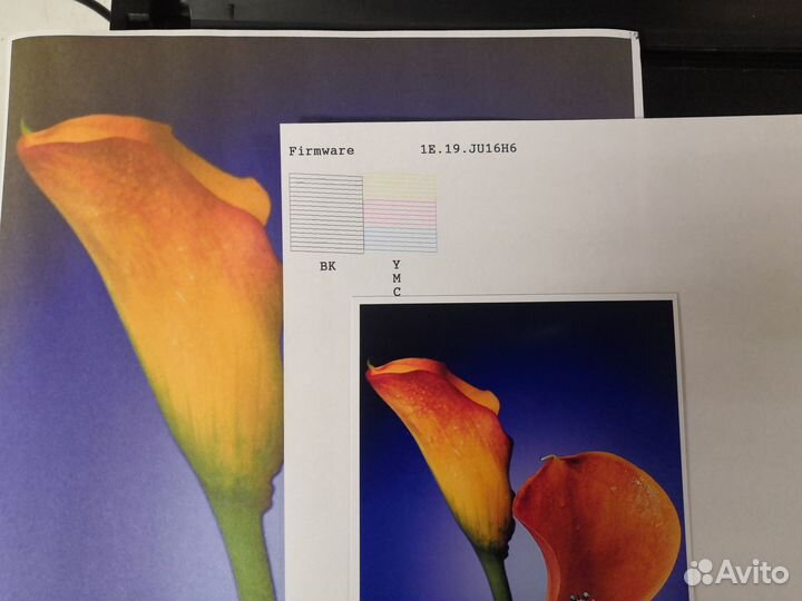 Струйный цветной принтер с снпч Epson XP-342