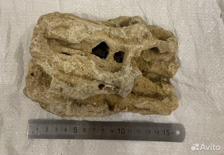 Ракушечник, декорация в аквариум, коряга, кокос