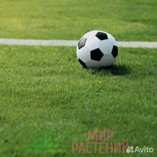 Семена газонной травы 10 кг