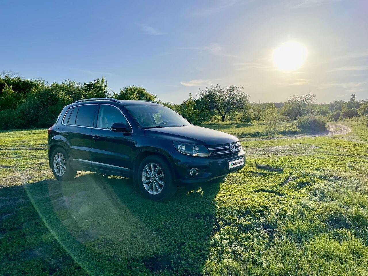 Volkswagen Tiguan: фото владельца