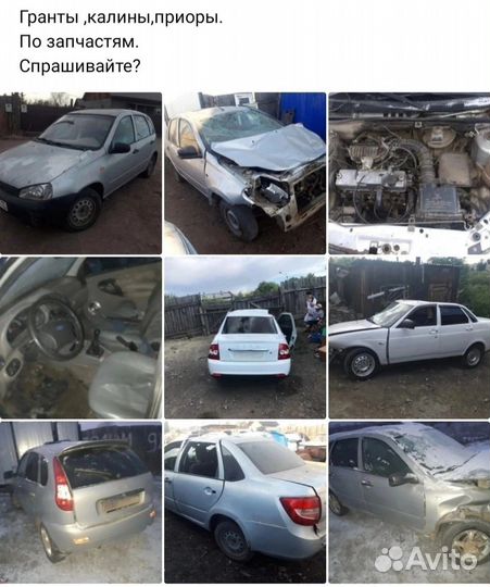 Торпеды на ладу