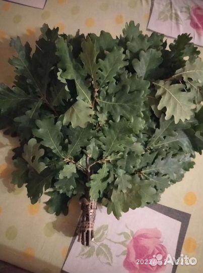 Веник дубовый для бани