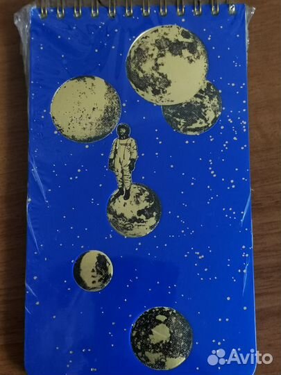 Запечатанные блокноты (красная панда и космонавт)