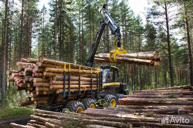 Сырьевой актив лесозаготовка объявление продам