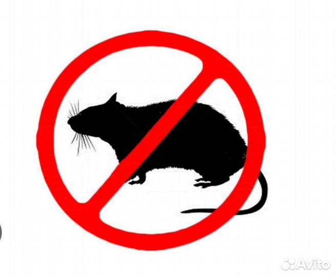 Уничтожение грызунов