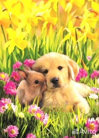 Алмазная мозаика 30x40 Щенок с кроликом среди