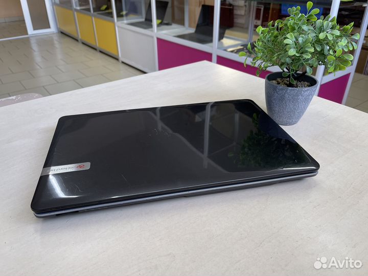 Бюджетный ноутбук Packard Bell