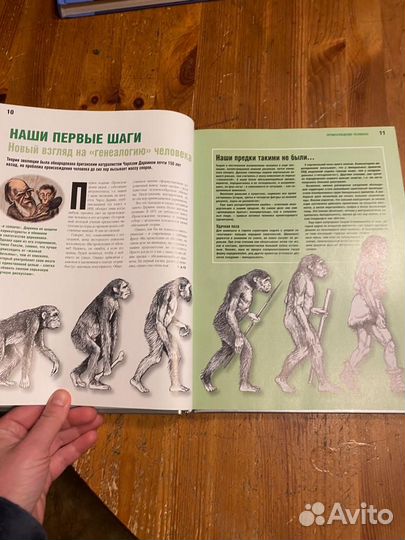 История: Правда и вымысел. Новые факты