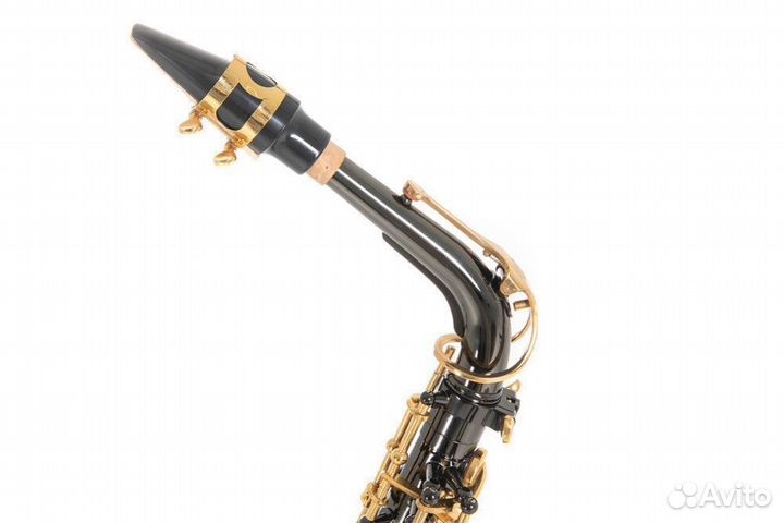 Саксофон альт Roy Benson AS-202K