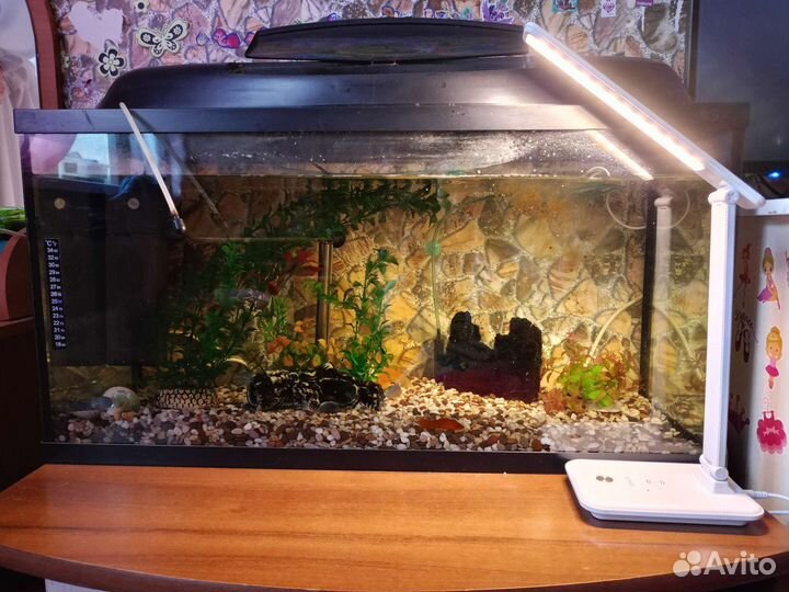 Аквариум