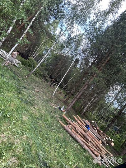 Расчистка участка спил деревьев