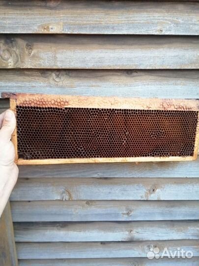 Сушь магазинная