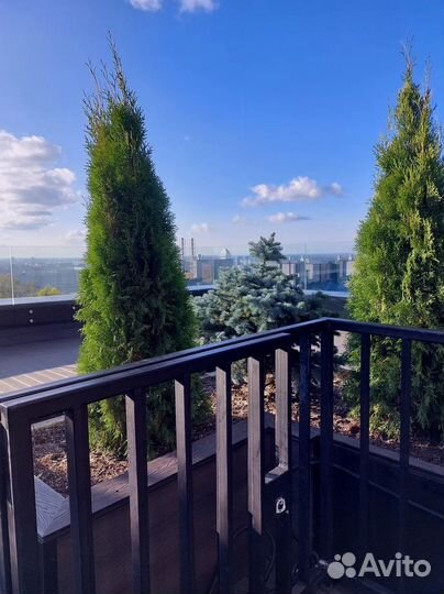 Террасная доска / Террасная доска из дпк