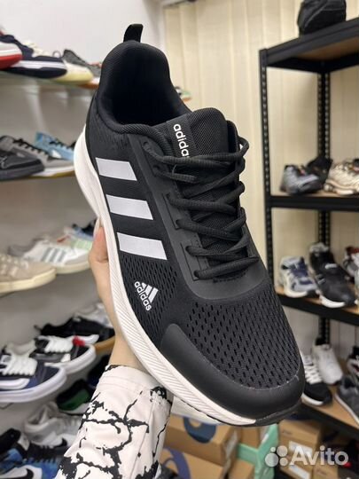 Кроссовки Adidas quester TND