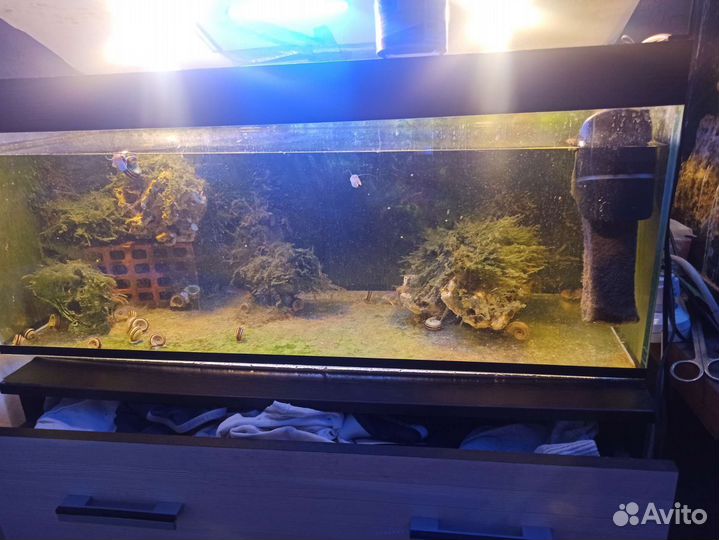 Аквариум