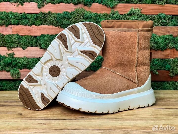 UGG Classic Short Weather Hybrid Boot Chestnut Whi