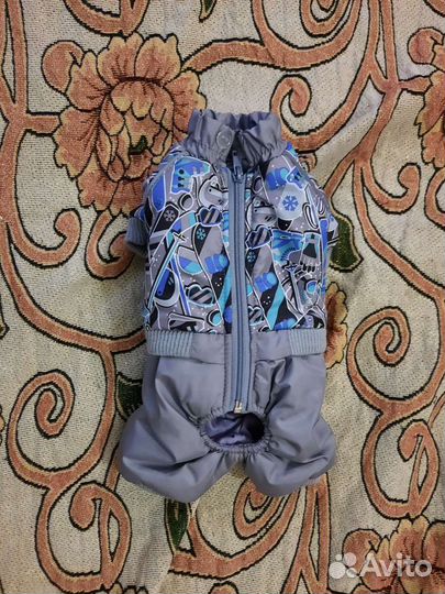 Одежда для собаки