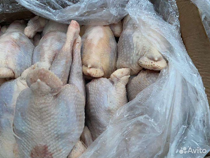 Курица охлажденная и заморозка