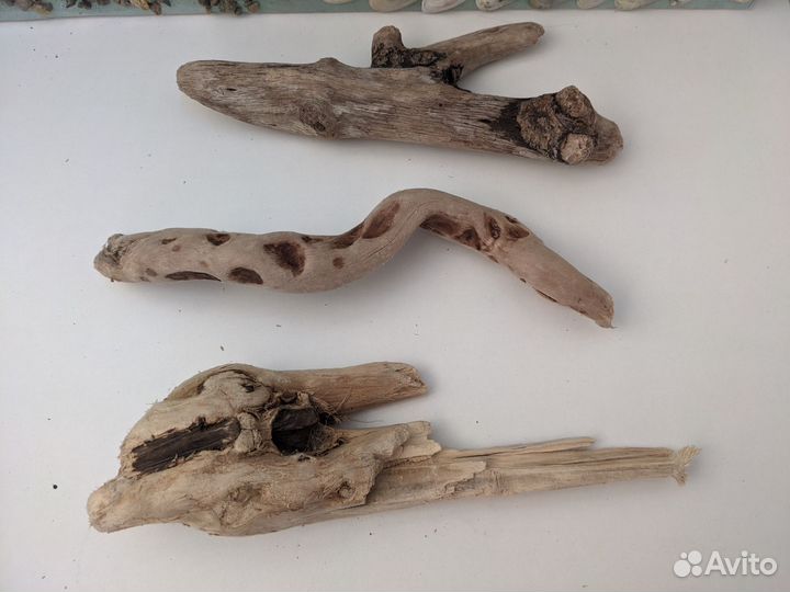 Коряги дрифтвуд для творчества декора аквариума