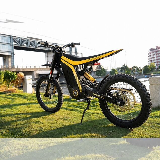 79Bike Falcon Lynx, 2026, 1 000 000 км