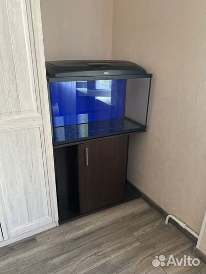 Аквариум с тумбой бу на 100 литров