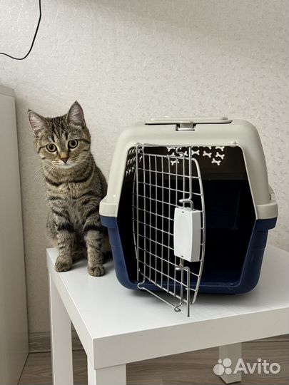 Переноска для животных пластиковая
