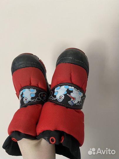 Сапожки зимние