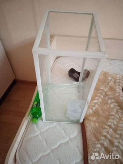 Аквариум длина 21 ширина 50 высота 27