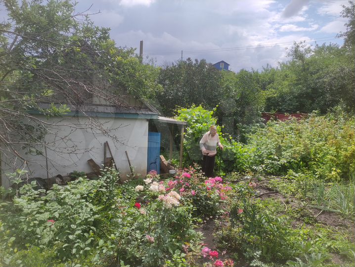 Дача 13 м² на участке 5 сот.