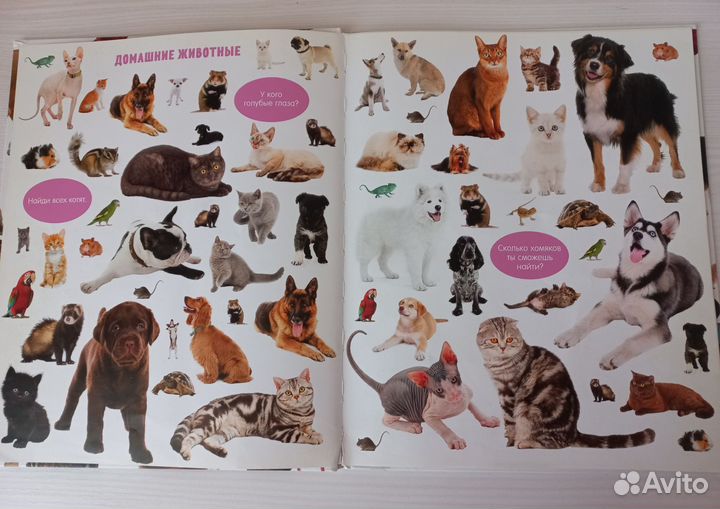 Большая книга малыша -животные от clever