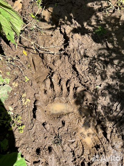 Поход Через горы к морю 30й маршрут