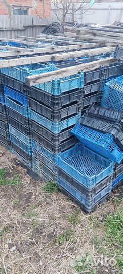 Ящики из под шампиньонов для рассады