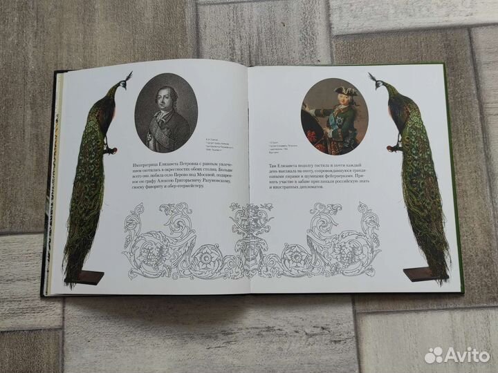 Царицы-охотницы книга