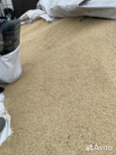 Зерно ячмень, пшеница, кукуруза, Овес,жмых любые к