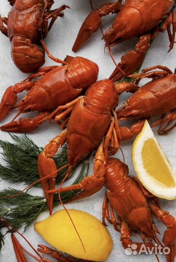 Продам живые раки