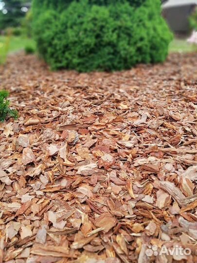 Кора сосны, мульча