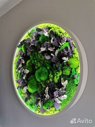 Мох стабилизированный панно с подсветкой круг