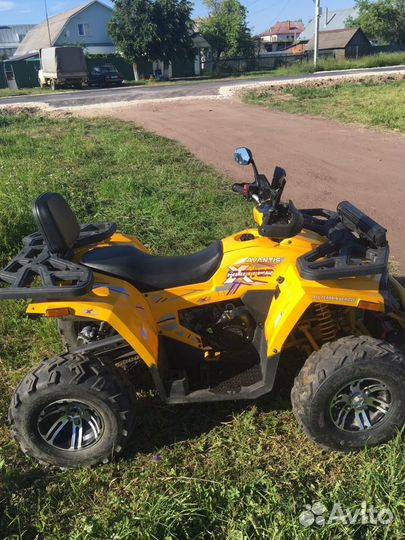 Avantis hunter 200 big premium